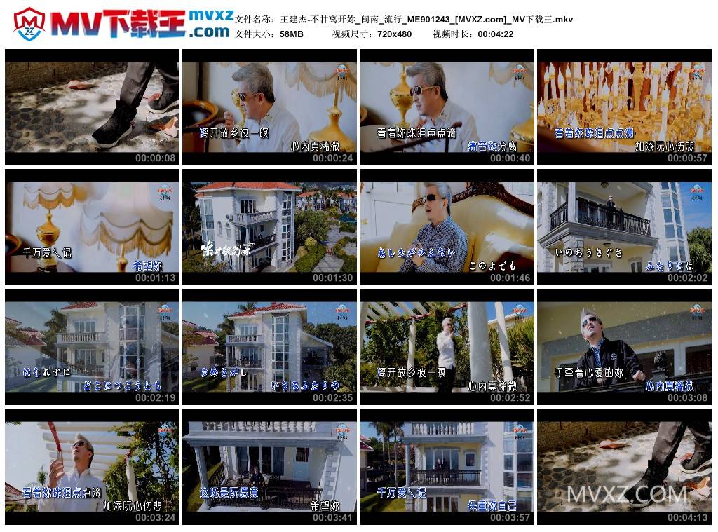 王建杰-不甘离开妳_闽南_流行_ME901243